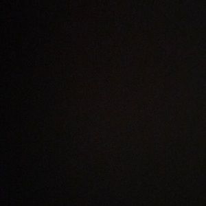 Meet your Posher, Wesley